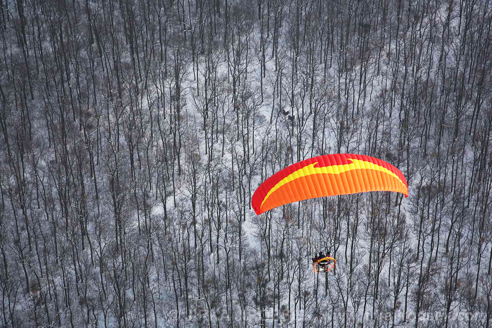 _MG_0530