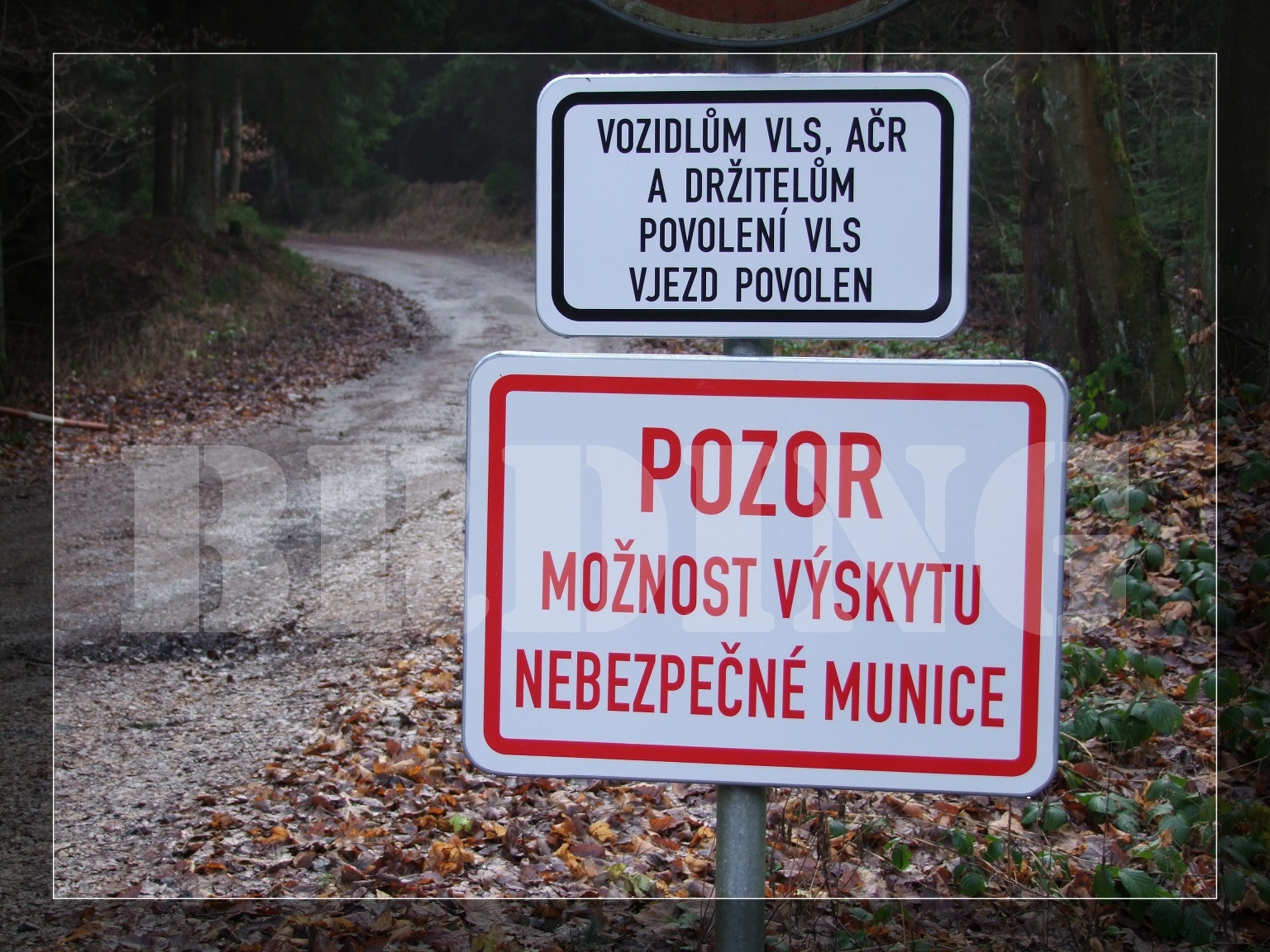 DSCF9776