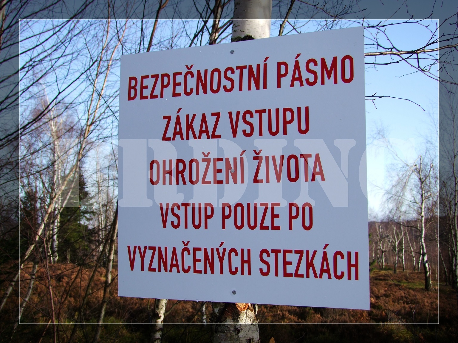 DSCF9811