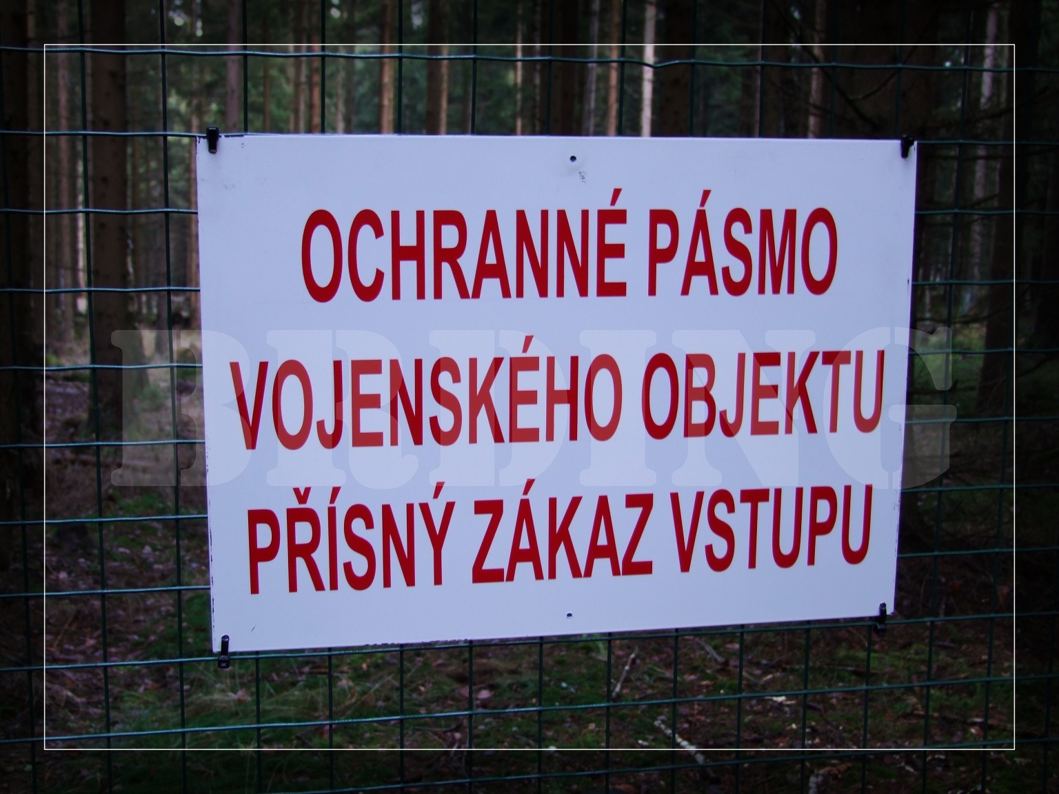 DSCF9856