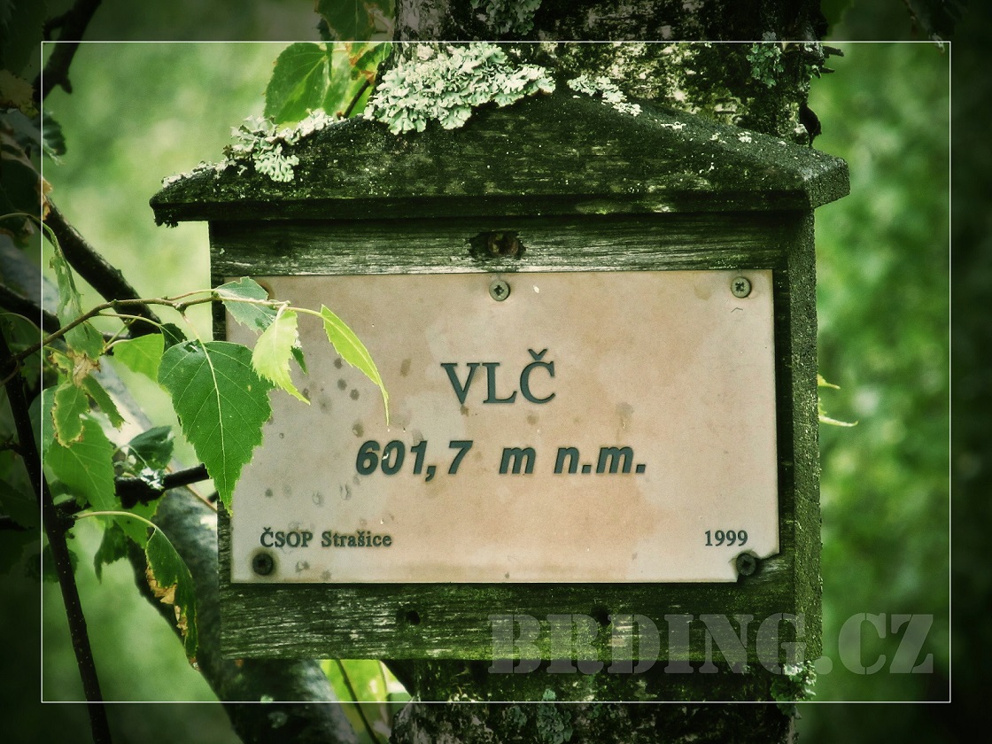 Vlc