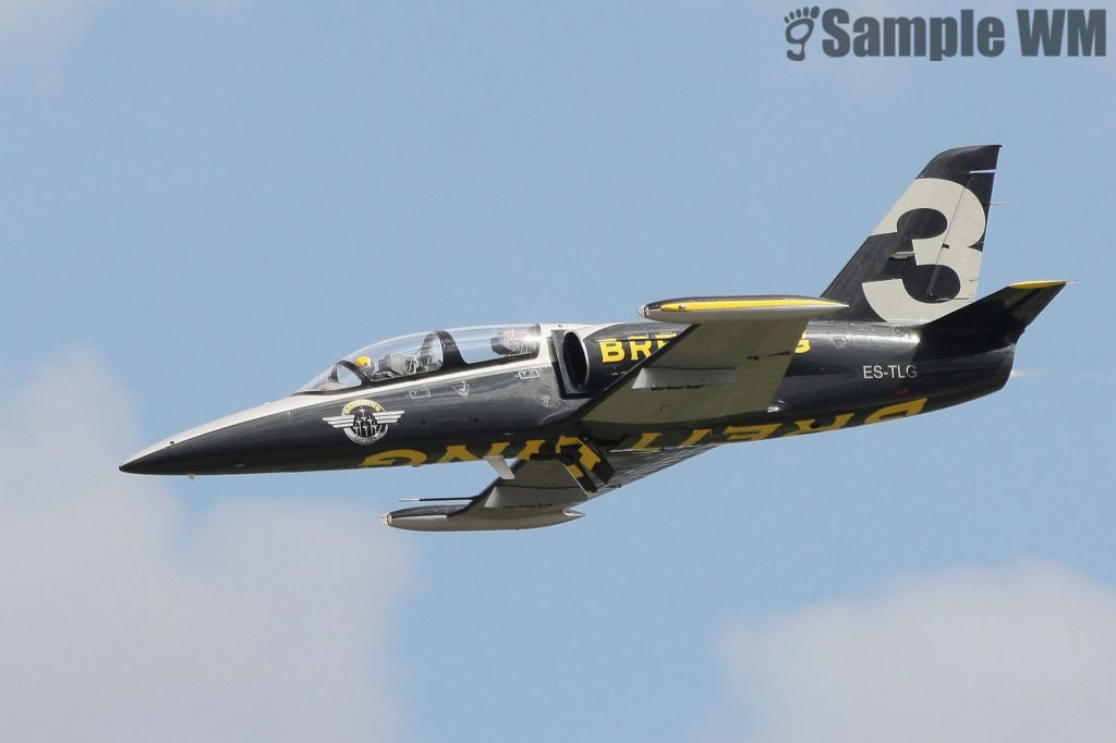 Aero L-39 Albatros