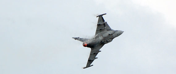gripen-plasy