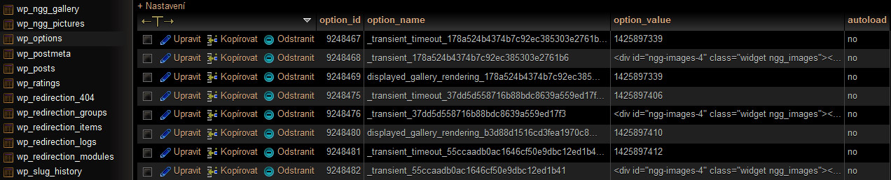 wordpress-database-transient