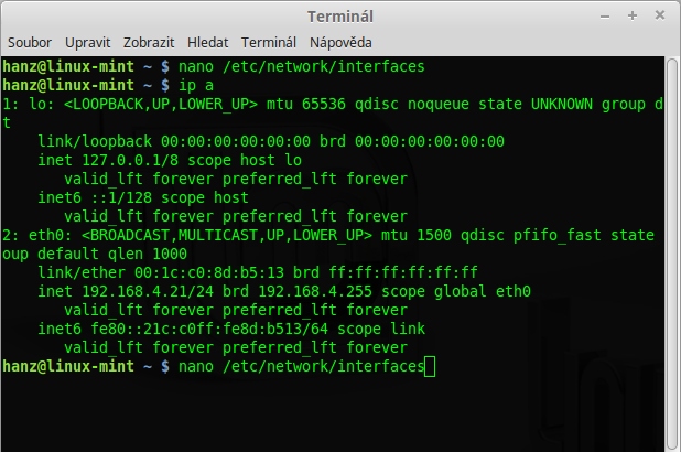 ip-network-interfaces-linux-mint
