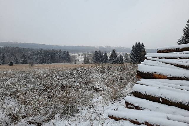 První sníh v Brdech - 18.11.2022