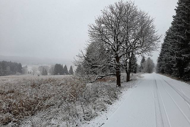 První sníh v Brdech - 26.11.