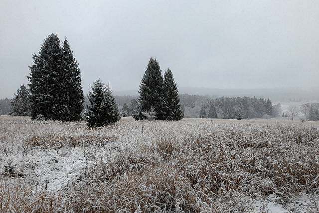 První sníh v Brdech - 26.11.
