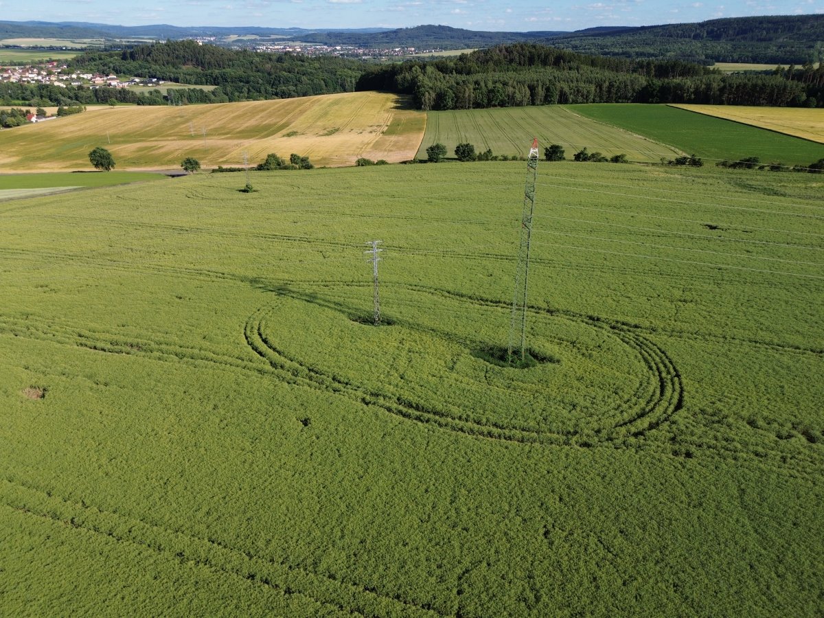 Dron