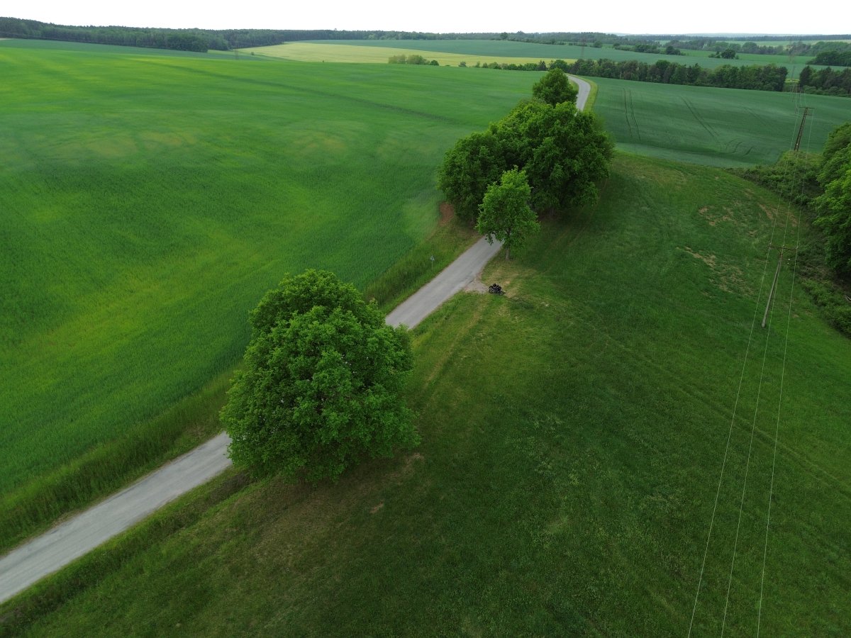 Dron