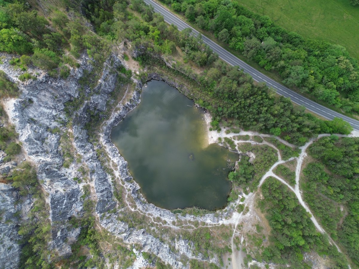 Dron